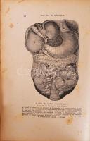 Platen, M[oritz]: Az új gyógymód. A természetszerű életmódnak, az egészség ápolásának és a gyógyszer...