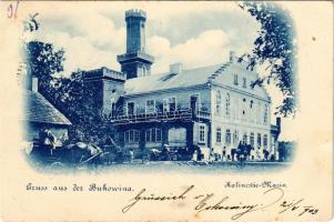 1903 Calinesti, Kalinestie (Bukovina, Bucovina, Bukowina); Kalinestie-Marin / view, lake (EK)