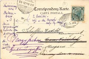 1903 Calinesti, Kalinestie (Bukovina, Bucovina, Bukowina); Kalinestie-Marin / view, lake (EK)