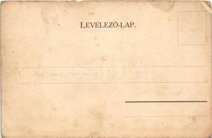 Muzsla, Muzla; Megyeháza, Plébánia, Templom. St. J. kiadása, szecessziós-virágos keret / county hall...