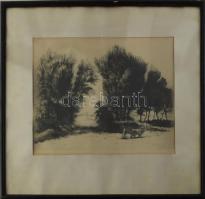 Varga Nándor Lajos (1895-1978): Tehénpásztorlány. Rézkarc, papír, jelzett. Üvegezett fakeretben. 29,5×38 cm