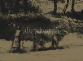 Varga Nándor Lajos (1895-1978): Tehénpásztorlány. Rézkarc, papír, jelzett. Üvegezett fakeretben. 29,...