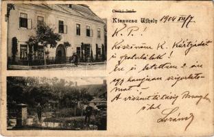 1904 Kiszucaújhely, Kysucké Nové Mesto; Radolai kastély, park / castle, park (r)