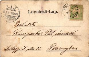 1904 Kiszucaújhely, Kysucké Nové Mesto; Radolai kastély, park / castle, park (r)