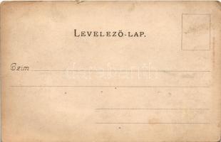 Nagyida, Velká Ida; Prihradny kastély. Varga B. kiadása / castle (r)