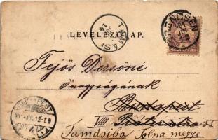 1901 Trencsén, Trencín; Városi kávéház, vár, üzletek. Szold Henrik kiadása / café, castle, shops (sz...