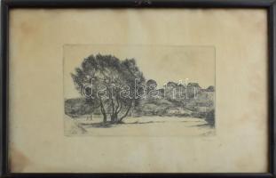 Varga Nándor Lajos (1895-1978): Táj, 1934. Rézkarc, papír, jelzett. Lap széle kissé foltos. Üvegezett fakeretben. 13,5×19 cm