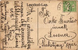 1913 Breznóbánya, Brezno nad Hronom; M. kir. állami polgári iskola, zsinagóga, Lopusky Samu üzlete. ...