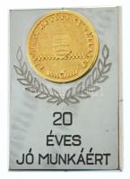 DN "Fővárosi Autótaxi Vállalat - 20 éves jó munkáért" egyoldalas, aranyozott bronz rátétes fém plakett, eredeti tokban (34x48mm) T:AU (eredetileg PP)