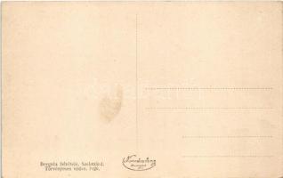 Dőrypatlan, Özv. Spitzer Gyuláné kastélya, Borgula felvétele (EB)