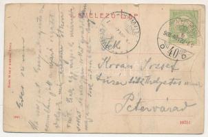 1908 Tövis, Teius; Oroszlán szálloda, kávéház, étterem. Klein Mihály kiadása, W. L. (?) 1645. / hote...