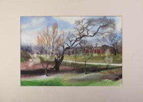 Rochlitz György (1941-): Halálos tavasz, 2007. Akvarell, papír, jelzett. Paszpartuban. 33,5x49 cm.