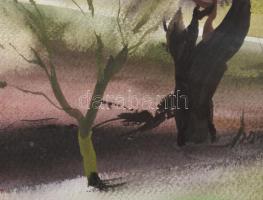 Rochlitz György (1941-): Halálos tavasz, 2007. Akvarell, papír, jelzett. Paszpartuban. 33,5x49 cm