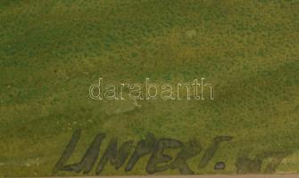 Lampert jelzéssel (Lampért András?): Zöldellő táj. Akvarell, papír, paszpartuban. 27,5×42 cm