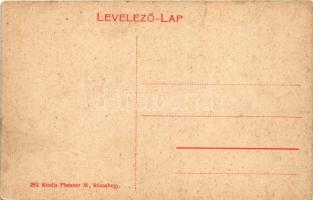 Rózsahegy, Ruzomberok; Fonógyári munkástelep. Platzner M. kiadása 289. (W.L. ?) / spinning mill'...