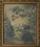 Jelzés nélkül: Erdőrészlet. Akvarell, papír, üvegezett fakeretben, 29×24 cm