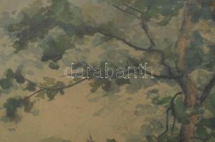 Jelzés nélkül: Erdőrészlet. Akvarell, papír, üvegezett fakeretben, 29×24 cm