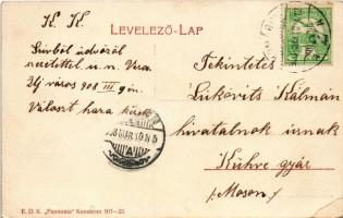 1908 Komárom, Komárno; Újváros, Lenfonoda. E.D.K. Pannonia 907-23. / flax spinning mill, factory (EB...