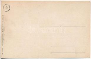 Vágsellye, Schelle, Sala nad Váhom; Műmalom. Vasúti levelezőlapárusítás 138. / mill