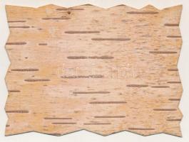 1917 Andenken von der Rumänischen Front, Weltkrieg 1914-1917 / Emlék a román frontról, első világháb...