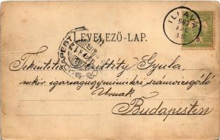 1903 Illava, Illau, Ilava; fegyház, börtön. W. &amp; D. / prison (fa)