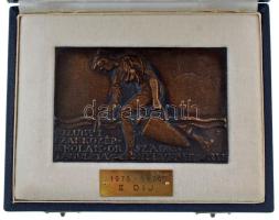 1976. "VÍZÜGYI SZAKKÖZÉPISKOLÁK ORSZÁGOS TANULMÁNYI VERSENYE" egyoldalas, öntött, bronz plakett, eredeti díszdobozban. Dobozban "1975-1976. II. díj" táblával. Szign.: TJ (?) (74x110mm) T:AU patinás