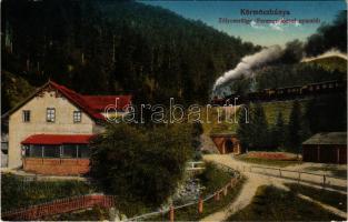 1917 Körmöcbánya, Kremnitz, Kremnica; Zólyomvölgy, Ferenc József nyaraló, vasút, gőzmozdony. Ritter Sándor kiadása / valley, villa, locomotive, railway tunnel