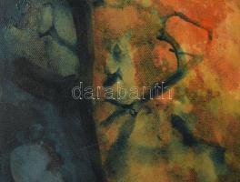 Kőrösi Papp Kálmán (1940): "Kozmikus figurációk". Akril, vászon, jelzett a hátoldalán. 70x...