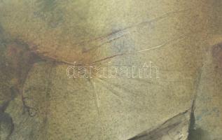 Lóránt János Demeter (1938-): Táj. Akvarell, papír, jelzett. Üvegezett fakeretben, 33x47,5 cm