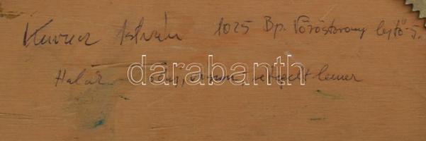 Kurucz István András (1960-): Halak. Olaj, vászon, rétegelt lemezen, jelzett a hátoldalon. Fakeretbe...