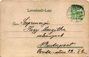 1911 Pozsony, Pressburg, Bratislava; látkép a várral, előtérben kotróhajó, uszoda / general view wit...