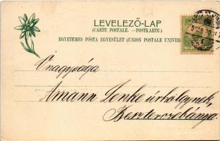 1905 Deménfalu, Demanová (Liptószentmiklós, Liptovsky Mikulás); Déménfalvi jégbarlang, Nagy Jégesés,...