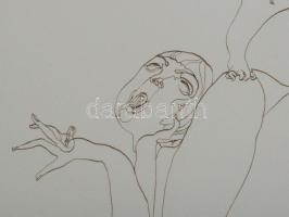 Lévai Ádám (1967-): Két nő ugyanazt álmodja, 2005. Tus, papír, jelzett, üvegezett fakeretben 42x28 c...