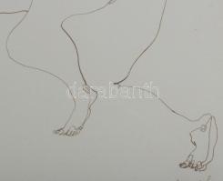 Lévai Ádám (1967-): Két nő ugyanazt álmodja, 2005. Tus, papír, jelzett, üvegezett fakeretben 42x28 c...