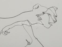 Lévai Ádám (1967-): Vonallal győző, 2009. Tus, papír, jelzett, üvegezett fakeretben. 21,5x41 cm