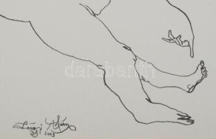 Lévai Ádám (1967-): Vonallal győző, 2009. Tus, papír, jelzett, üvegezett fakeretben. 21,5x41 cm