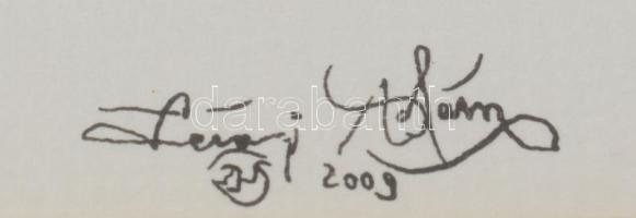 Lévai Ádám (1967-): Vonallal győző, 2009. Tus, papír, jelzett, üvegezett fakeretben. 21,5x41 cm