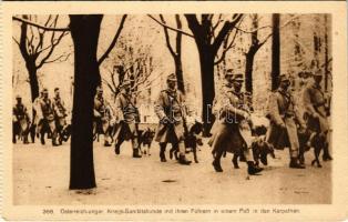 Österreich-ungar. Kriegs-Sanitätshunde mit ihren Führern in einem Pass in den Karpathen / WWI K.u.K. military, soldiers with mercy dogs, from a postcard booklet (EK)