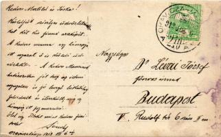 1913 Oravicabánya, Oravicza, Oravita; gyerekek vadászruhában puskával / children in hunting uniform ...