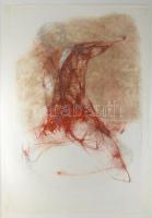 Kovács Péter (1943-2019): Lény (cím nélkül). Vegyes technika, papír, jelzés nélkül. Üvegezett keretben, üveg jobb alsó sarkában sérült. 102x72 cm