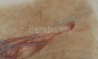 Kovács Péter (1943-2019): Lény (cím nélkül). Vegyes technika, papír, jelzés nélkül. Üvegezett keretb...