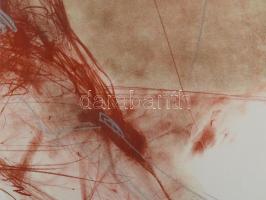 Kovács Péter (1943-2019): Lény (cím nélkül). Vegyes technika, papír, jelzés nélkül. Üvegezett keretb...