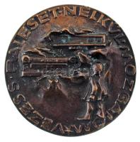 1970-1980. k. "Vezess Baleset Nélkül Mozgalom" egyoldalas öntött bronz emlékérem (68mm) T:AU patina