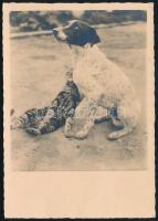 Németország - Zónák 1946