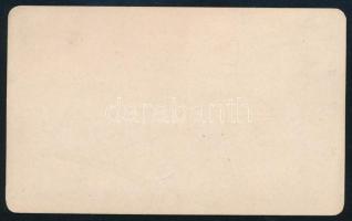 cca 1875 A mai lengyel Szczecin (Stettin) kikötője a védművekkel, keményhátú fotó, felirattal, szép ...