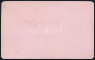 cca 1880 Linz, Ausztria, Ferenc József tér konflisokkal és üzletekkel, keményhátú fotó A. Red, jó ál...