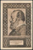 1919 Díjjegyes képeslap Pax és Repülő bélyeges kiegészítéssel, légipostával Zürichbe / Mi 145 on PS-...