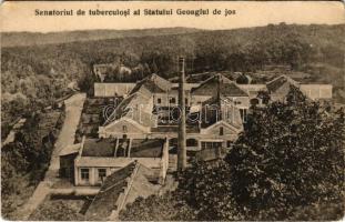 Algyógy, Geoagiul de jos, Geoagiu; Sanatoriul de tubercolosi al Statului. Iosif Briegel / tüdőszanatórium / tubercolosis sanatorium (EB)