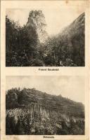 Zalatna, Zlatna; Fenesi Kecskekő, Detunata. Folberth Vilmos kiadása / Piatra caprei / monument, rock (fl)