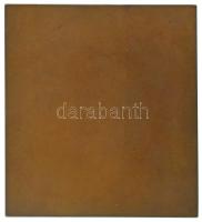 Ausztria 1911. "Genossenschaft der Bildenden Künstler Wiens 1861-1911 (Bécsi Képzőművészek Szöv...